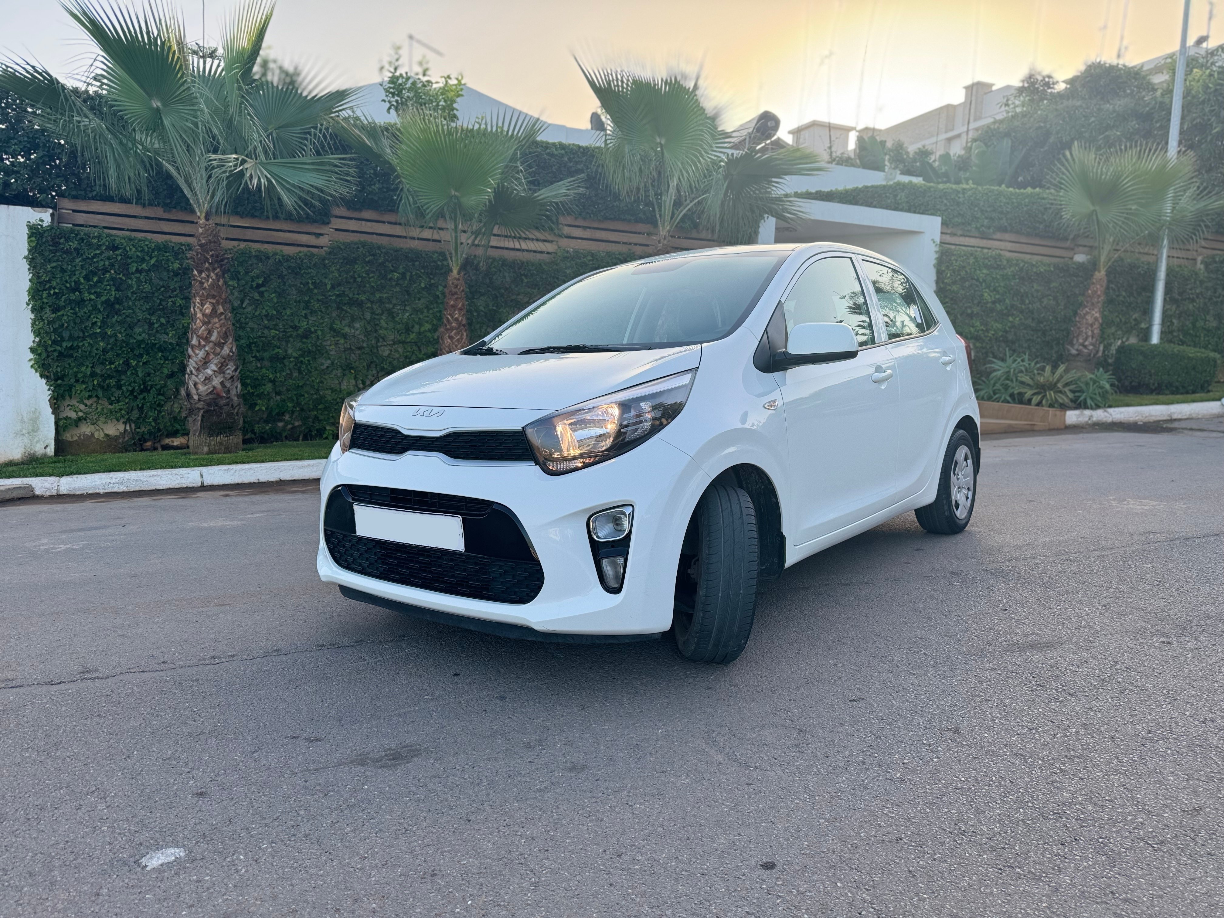 KIA Picanto Essence Manuel 2022 